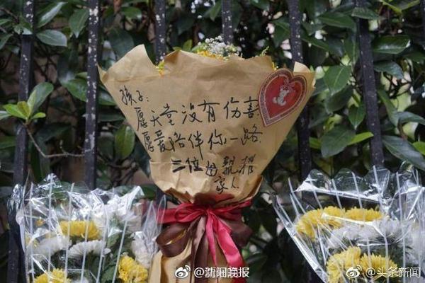 上海海港夏窗调整情况：新注册梅伦多等3人，艾菲尔丁等4人离队